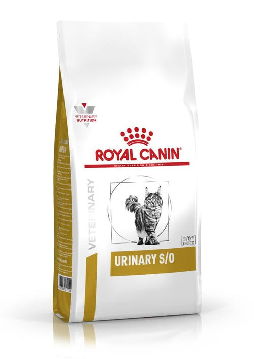 nikkel waterval Dominant Royal Canin kattenvoer Urinary S/O 1,5 kg | Diebo Huisdierwereld