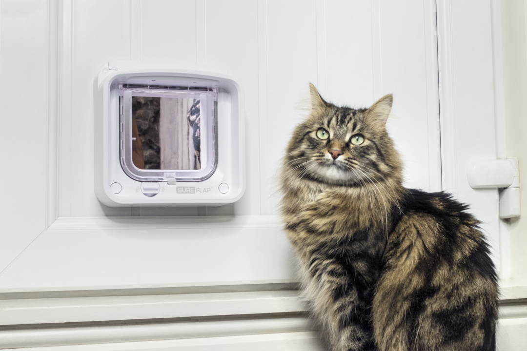 Sureflap microchip kattenluik connect 2025