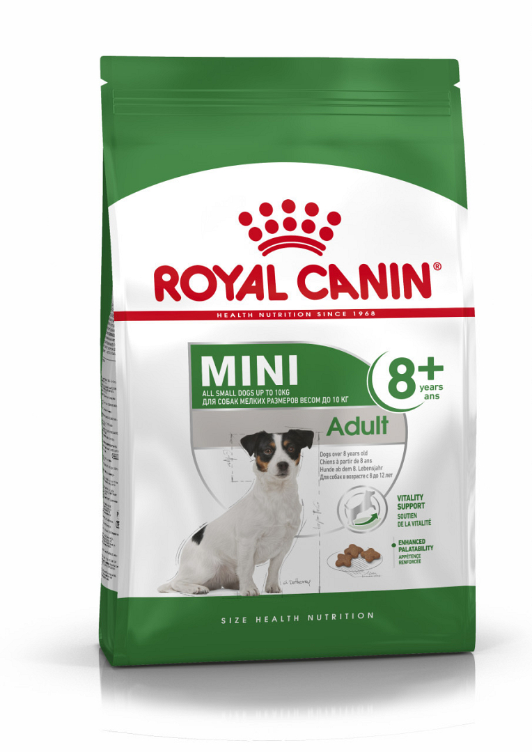 Minimaal Vakman Vervolgen Royal Canin hondenvoer Mini Adult 8+ 8 kg | Diebo Huisdierwereld