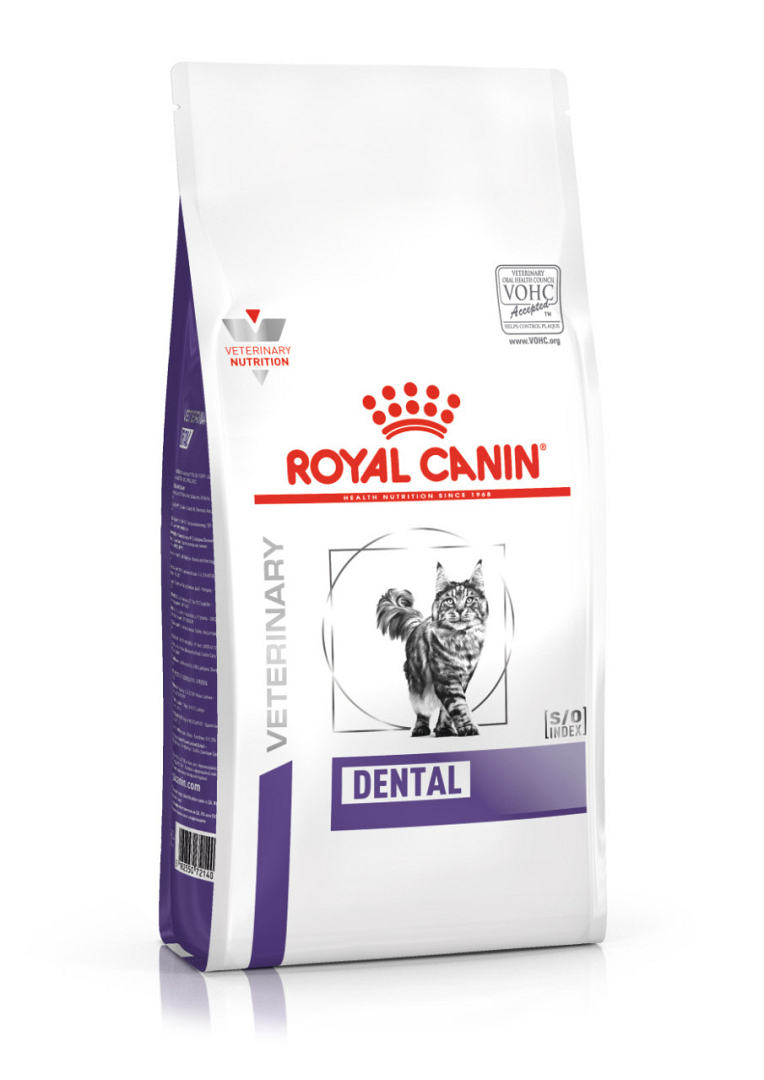 Verdorie advies Te Royal Canin kattenvoer Dental 3 kg | Diebo Huisdierwereld
