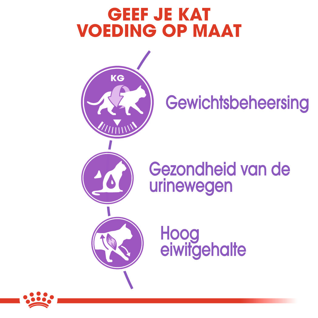 buitenspiegel Eerlijk rivaal Royal Canin kattenvoer Sterilised 37 4 kg | Diebo Huisdierwereld