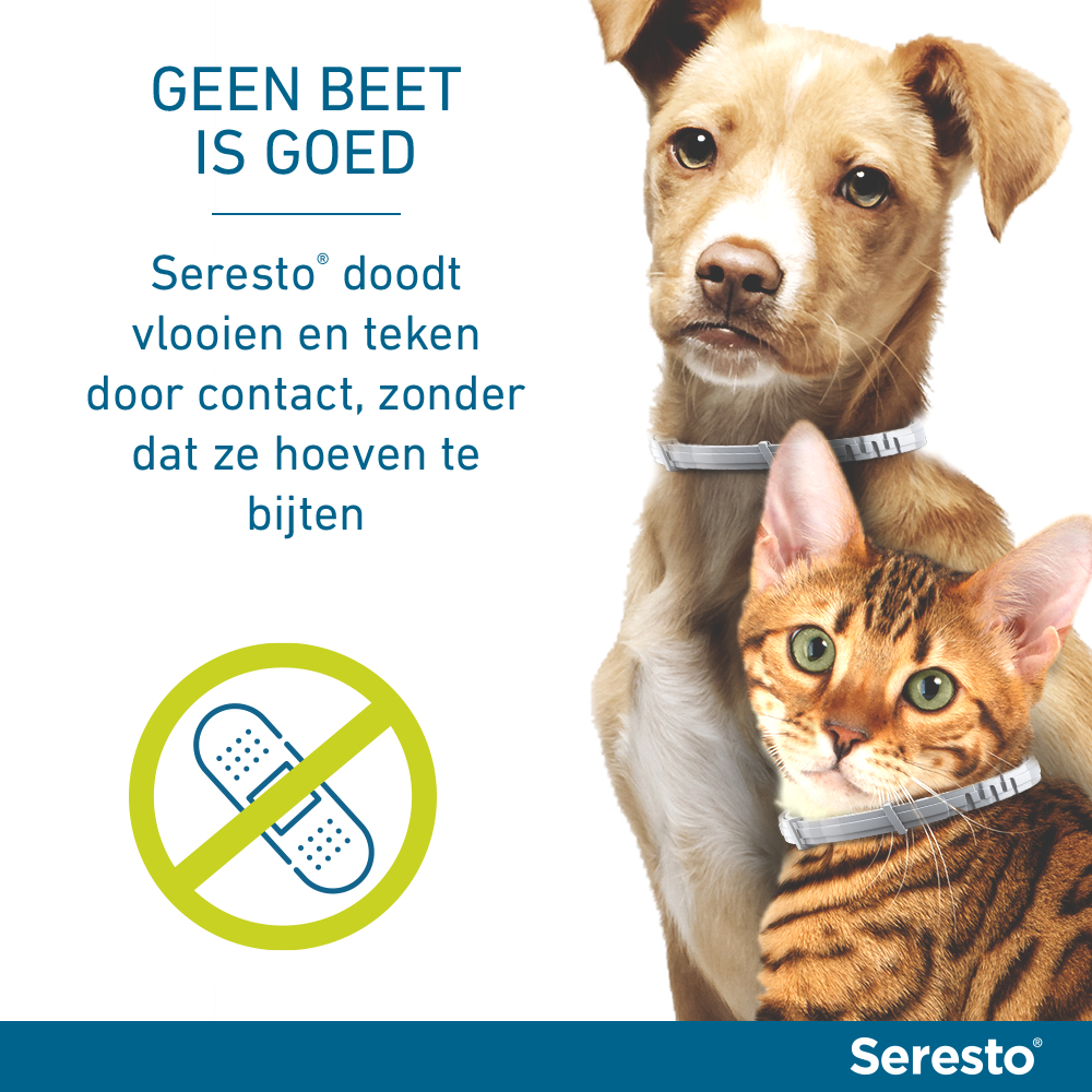 Kat hond deals seresto