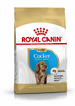 Royal Canin hondenvoer Cocker Puppy 3 kg