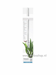 Tropica Tweezers