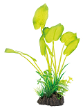 SuperFish Art Plant Echinodorus 25 cm
