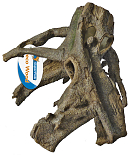 SuperFish staande wortel L