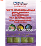 On Blister White Mosquito Larvae