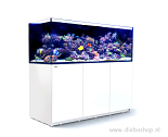 Red Sea Reefer G2+ 750XXL Wit