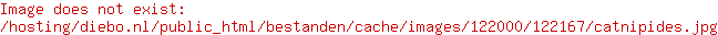 Beeztees Catnip Hengel Cactus Itou