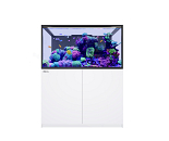 RED SEA REEFER MAX S 550 G3 WHITE