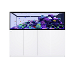 RED SEA REEFER MAX PENINSULA S 950 G3 WHITE