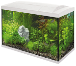 SuperFish aquarium Start 70 Tropical kit wit