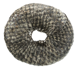 TRIXIE Denta Fun Fish Chewing Rings 10 cm 110 gr