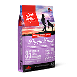 Orijen hondenvoer Puppy Large Breed 6 kg