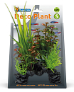 SuperFish Deco Plant Rotala S