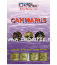 On Blister Gammarus
