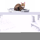 Petrebels krabmeubel Lucky Bastards Parklane 131 Grey