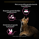 Pro Plan kattenvoer Delicate Nutrisavour Vis 10 x 85 gr