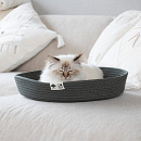 D&D I Love Happy Cats Kattenmand Jess Groen