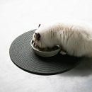 D&D I Love Happy Cats Placemat Jill Groen