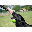 Dog Comets Meteor Werpstok Groen