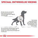 Royal Canin Hondenvoer Hepatic<br> 7 kg