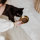 District 70 Voer- en Drinkbak Royal Gold