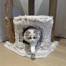 EBI Krabmeubel Marseille Beige