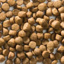 Greenheart-Premiums hondenvoer Optimal Condition Light 4 kg