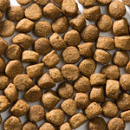 Greenheart-Premiums hondenvoer Medium Energy 4 kg