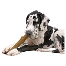 Petstages Durable Stick Large