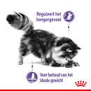 Royal Canin kattenvoer Appetite Control Care 10 kg