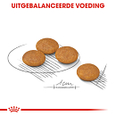 Royal Canin Hondenvoer Derma-comfort  Mini 3 kg