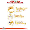 Royal Canin Kattenvoer Persian Adult <br>12 x 85 gr