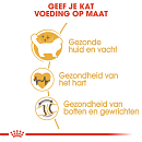 Royal Canin kattenvoer Ragdoll Adult 400 gr
