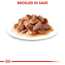 Royal Canin Kattenvoer Ageing 12+ in Gravy <br>12 x 85 gr