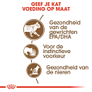 Royal Canin Kattenvoer Ageing 12+ in Gravy <br>12 x 85 gr