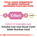 Royal Canin kattenvoer British Shorthair Kitten 10 kg