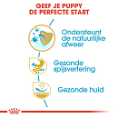 Royal Canin hondenvoer French Bulldog Puppy 10 kg