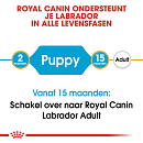 Royal Canin hondenvoer Labrador Retriever Puppy 12 kg