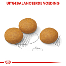 Royal Canin Hondenvoer Derma- <br>comfort Maxi 12 kg