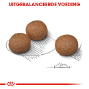 Royal Canin Hondenvoer Digestive Care Medium 12 kg