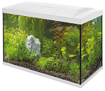 SuperFish Aquarium Start 150 Tropical Kit Wit