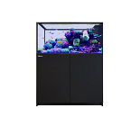 RED SEA REEFER MAX PENINSULA 500 G3 BLACK