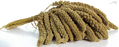 Trosgierst 1 kg