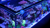 RED SEA REEFER MAX S 850 G3 WHITE