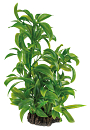 SuperFish Art Plant Dracaena 25 cm