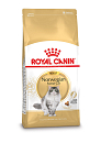 Royal Canin kattenvoer Norwegian Forest Cat Adult 10 kg