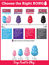 Kong Puppy L