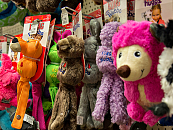 Impressie winkel